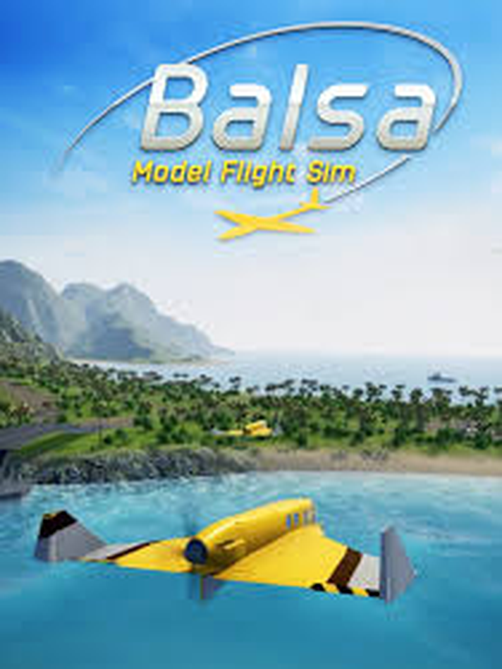 Balsa Model Flight Simulator