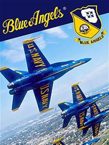 Blue Angels Aerobatic Flight Simulator