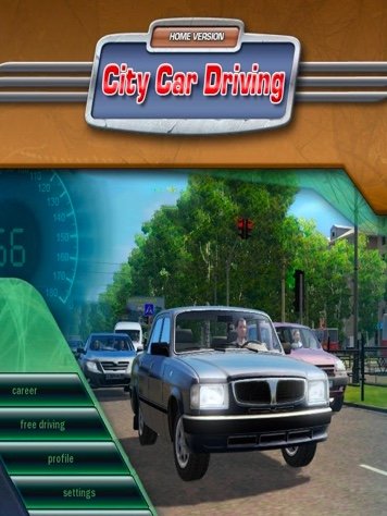 City Car Driving