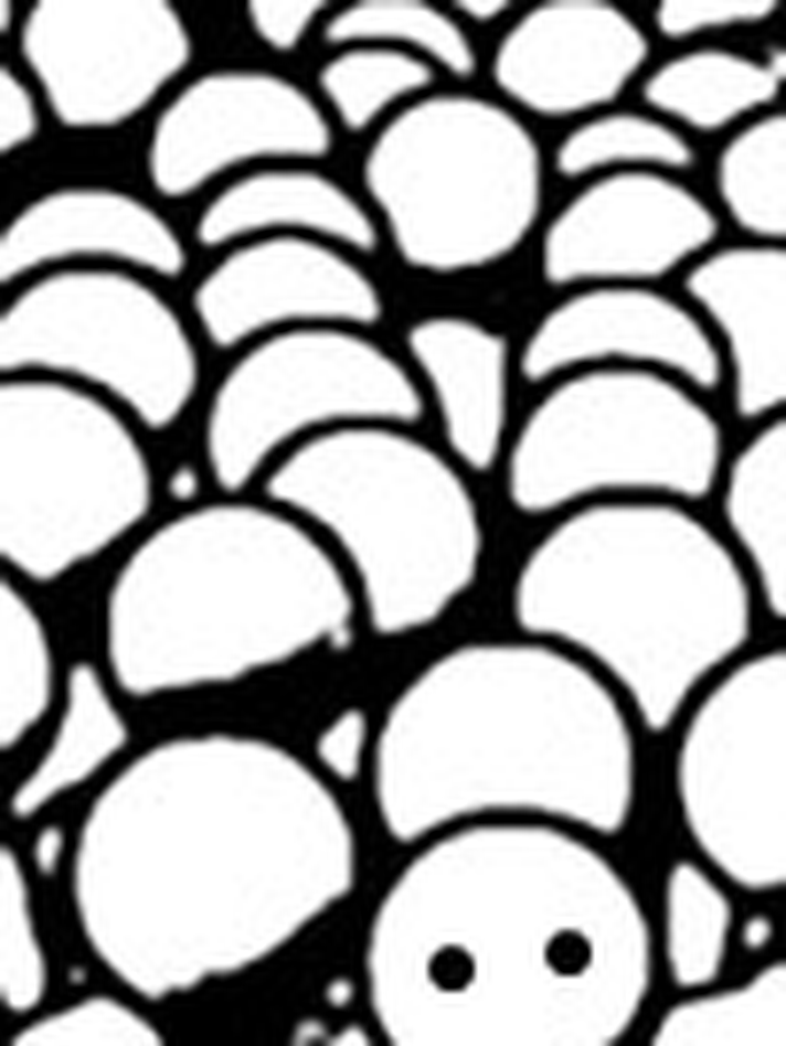 Crowd Simulator