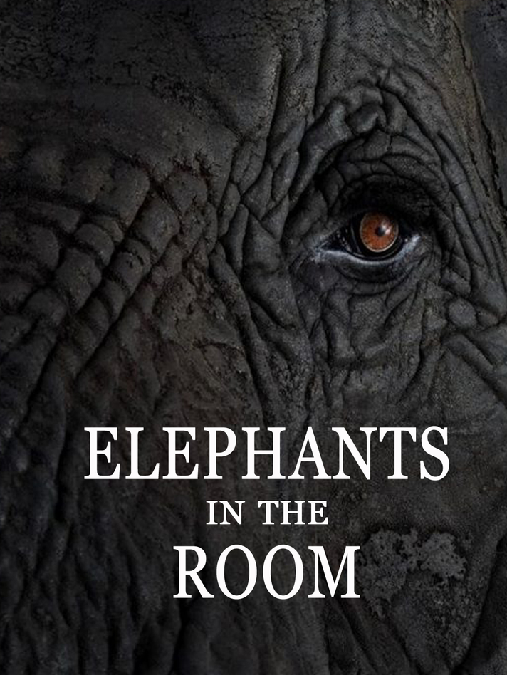 Elephant in the Room