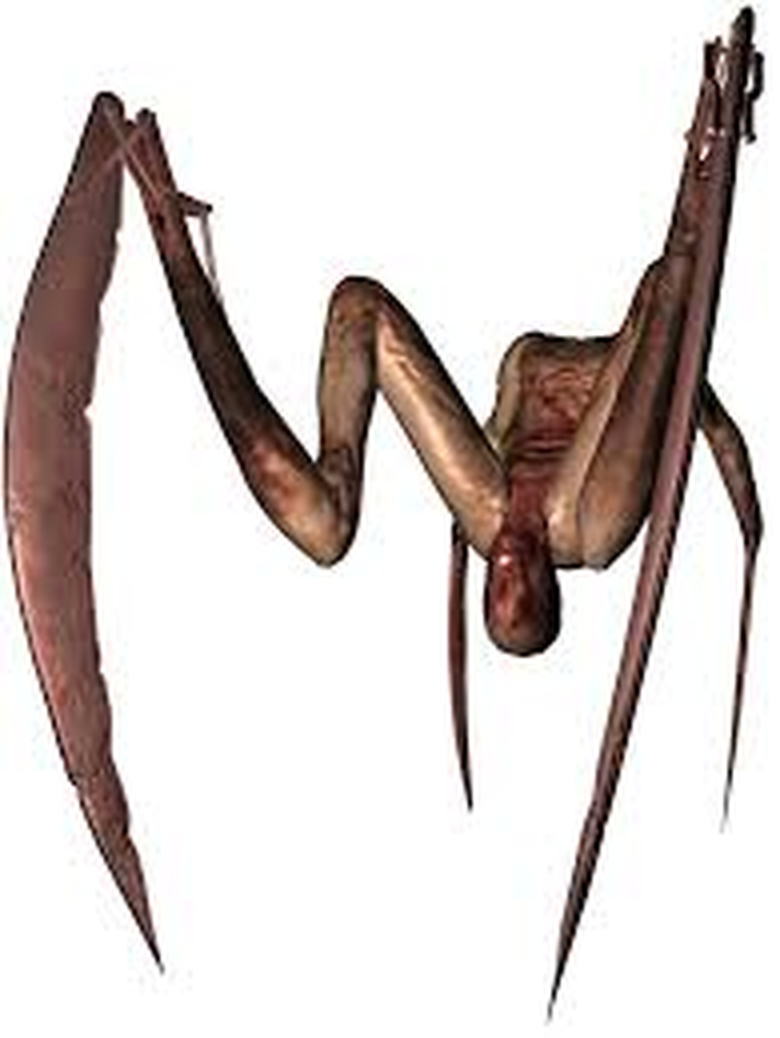 silenthillhomecoming