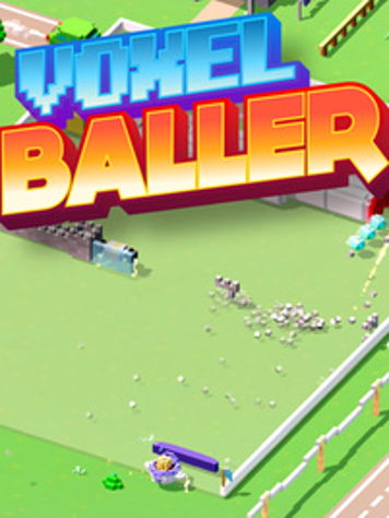 Voxel Baller