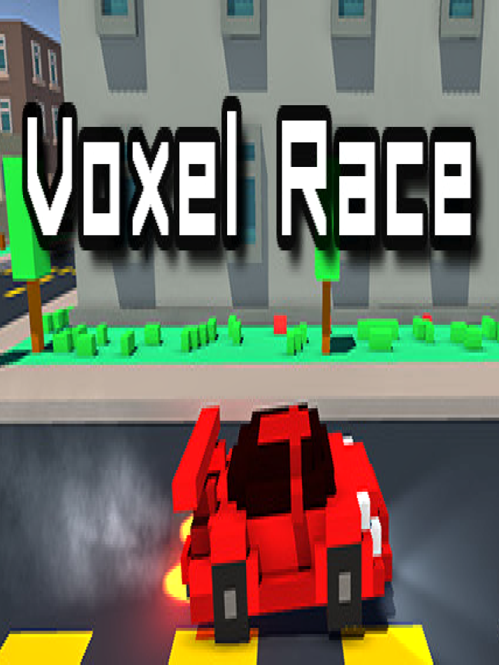 Voxel Race