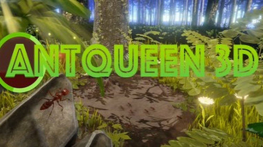 AntQueen 3D
