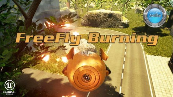 FreeFly Burning