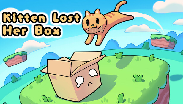 Kitten Lost Her Box