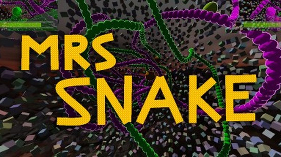 MRS SNAKE