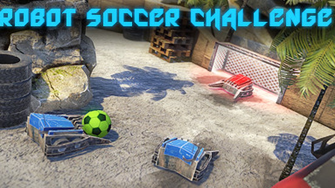 Robot Soccer Challenge
