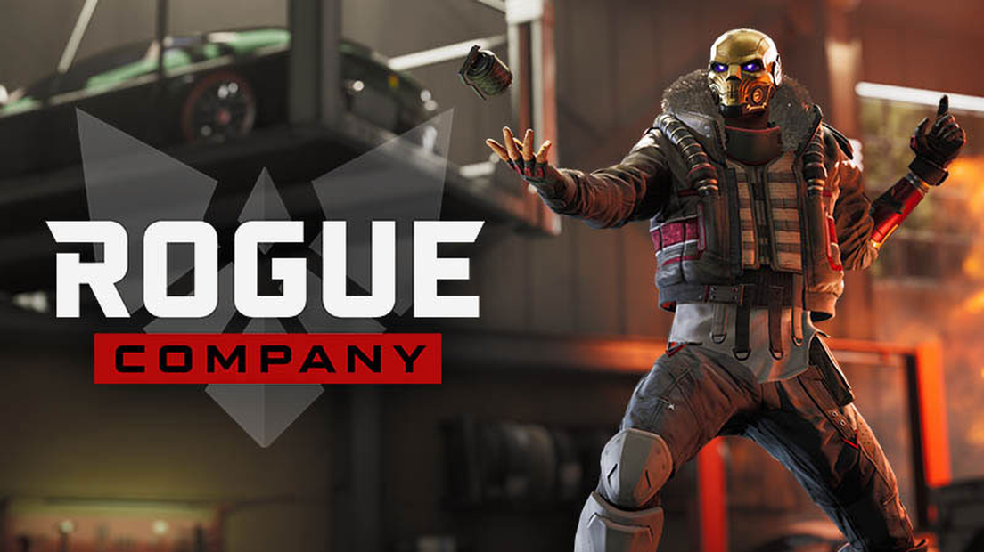 Rogue Company