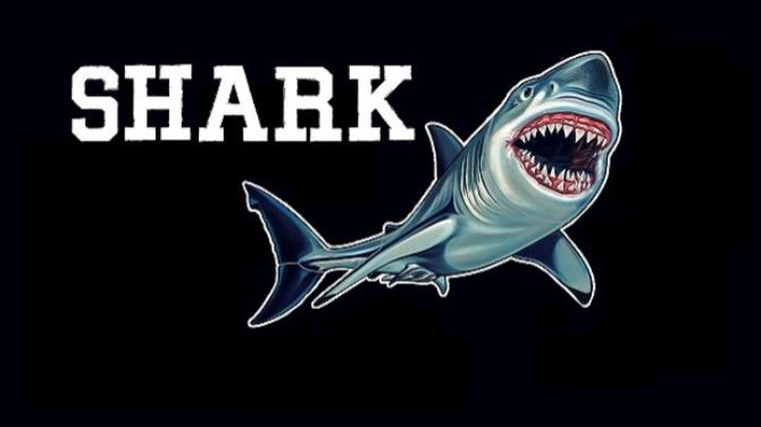 Shark