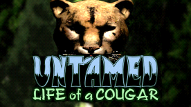 Untamed: Life Of A Cougar