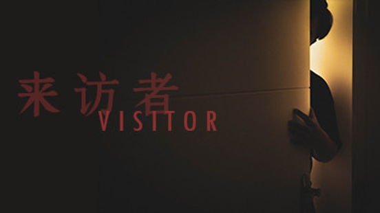 Visitor